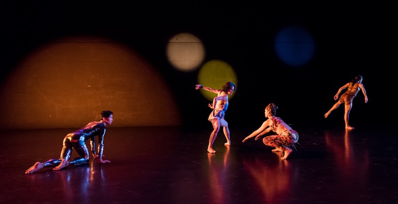 The four dancers spread out in a diagonal on the stage. A male dancer in a shiny black unitard crawls.